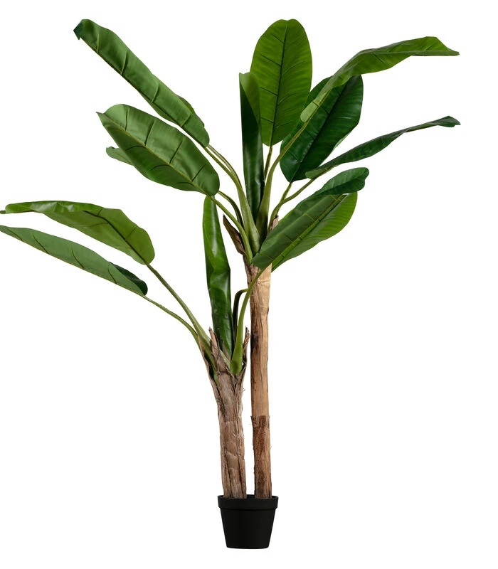 WOOOD Bananenplant Kunstplant - Groen - 97x138x95 3 WOOOD Bananenplant Kunstplant - Groen - 97x138x95