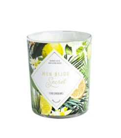 Geurkaars Citrus Met Zilveren Oorbellen 9 Geurkaars Citrus Met Zilveren Oorbellen -INNO WINKEL 10fd85bb2bea41a7b33ca7d9022ae6d8