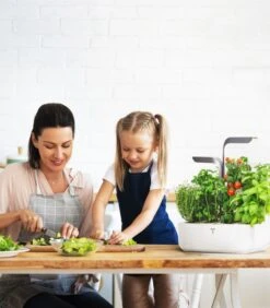 Indoor Moestuin Véritable® Connect Infinity Grey 10 Indoor Moestuin Véritable® Connect Infinity Grey -INNO WINKEL 1607d250863c43b6b58a980ae2c248d5