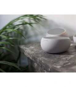 BRUT - Beton Set Van 3 Theelichthouders Tokyo Grey 9 BRUT - Beton Set Van 3 Theelichthouders Tokyo Grey -INNO WINKEL 2352eafc0d924b3a895f8fab75bde8d3