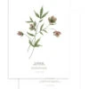 WELLINGTON Set Van 2 Kinderposters - Bloemen Botanicals