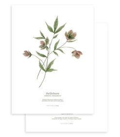 WELLINGTON Set Van 2 Kinderposters - Bloemen Botanicals