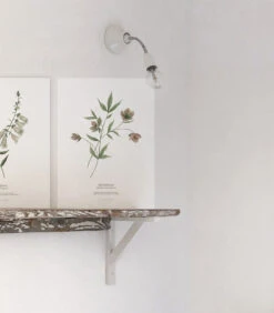 WELLINGTON Set Van 2 Kinderposters - Bloemen Botanicals -INNO WINKEL 5b4d9fcdca0344ceaf957482dd72965e