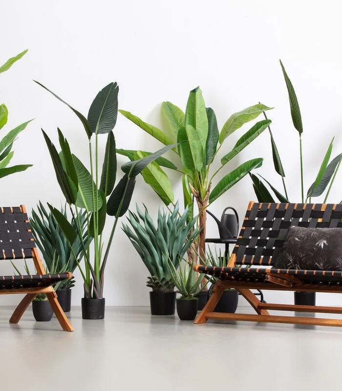 WOOOD Bananenplant Kunstplant - Groen - 97x138x95 4 WOOOD Bananenplant Kunstplant - Groen - 97x138x95 - Afbeelding 2