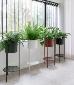 ENT Plantenstaander Medium Rood 10 ENT Plantenstaander Medium Rood -INNO WINKEL 5c82b5a8e4324b368980c7023403fcb1