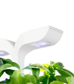 Indoor Moestuin Exky® CLASSIC 10 Indoor Moestuin Exky® CLASSIC -INNO WINKEL 73d8c69ed97044fe9224c6d4712032b6