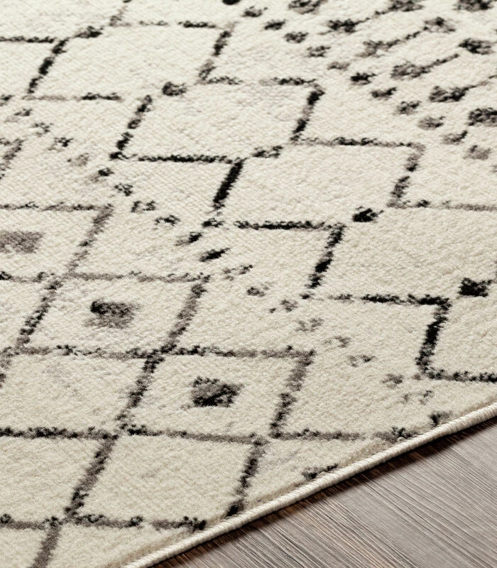 Boheems Berber Vloerkleed 5 Boheems Berber Vloerkleed - Afbeelding 3