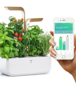 Indoor Moestuin Véritable® Connect Moonlight Gold