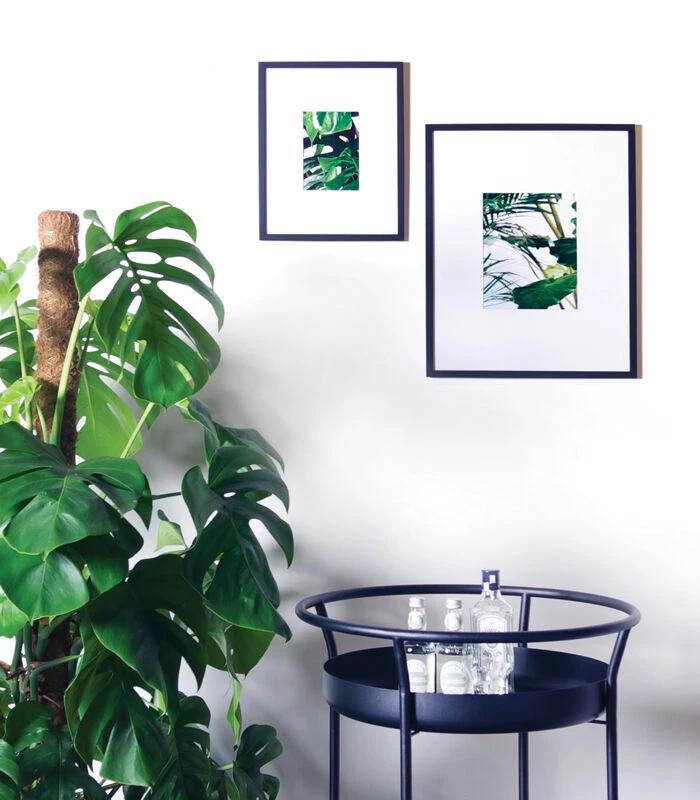 VITRO Fotokader 20 X 25 4 VITRO Fotokader 20 X 25 - Afbeelding 2