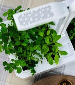 Indoor Moestuin Véritable® CLASSIC 11 Indoor Moestuin Véritable® CLASSIC -INNO WINKEL e6b412e7d68f440880c815cfebba0ed9