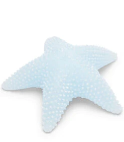 Kaars, Decoratieve Stompkaars Zeester - Starfish - Lichtblauw