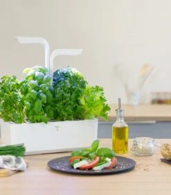 Indoor Moestuin Véritable® CLASSIC 10 Indoor Moestuin Véritable® CLASSIC -INNO WINKEL f05c290ce3da47ed8d1096bf65e86a97