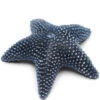 Kaars, Decoratieve Stompkaars Zeester - Starfish - Donkerblauw